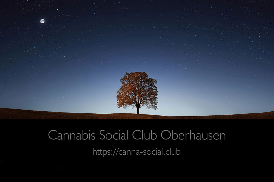 Cannabis Social Club Oberhausen